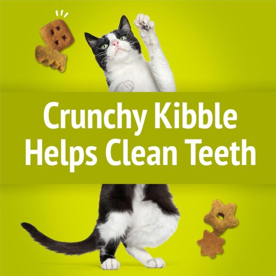 Purina Friskies Party Mix Morning Munch Crunch Cat Treats - (Pack of 10) 2.1 oz. Pouches  Pet SuppliesRufus AIRufus AI - Image 5