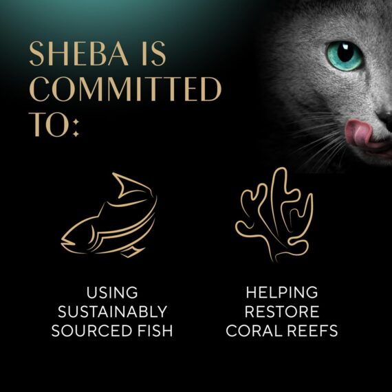 Sheba Perfect Portions Wet Cat Food Cuts in Gravy Variety Pack, Roasted Chicken Entree, With Sustainable Salmon, and Tender Turkey Entree, 2.6 oz. Twin-Pack Trays (24 Count, 48 Servings)Rufus AIRufus AI - Image 7