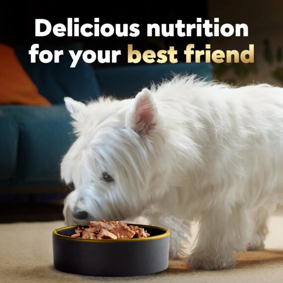 Cesar Wet Dog Food Loaf & Topper in Sauce Rotisserie Chicken Flavor with Bacon & Cheese, 3.5 oz. Easy Peel Trays (24 Count, Pack of 1) Canned Wet Pet Food Pet Supplies: Rufus AIRufus AI - Image 8