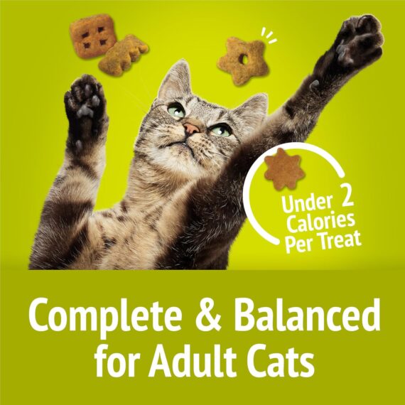 Purina Friskies Party Mix Morning Munch Crunch Cat Treats - (Pack of 10) 2.1 oz. Pouches  Pet SuppliesRufus AIRufus AI - Image 8