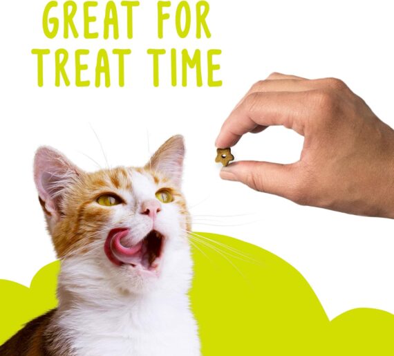 Purina Friskies Party Mix Morning Munch Crunch Cat Treats - (Pack of 10) 2.1 oz. Pouches  Pet SuppliesRufus AIRufus AI - Image 11
