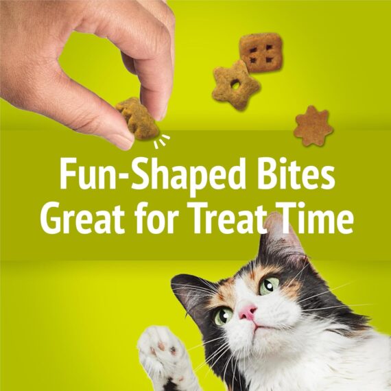 Purina Friskies Party Mix Morning Munch Crunch Cat Treats - (Pack of 10) 2.1 oz. Pouches  Pet SuppliesRufus AIRufus AI - Image 9