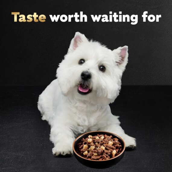 Cesar Wet Dog Food Loaf & Topper in Sauce Rotisserie Chicken Flavor with Bacon & Cheese, 3.5 oz. Easy Peel Trays (24 Count, Pack of 1) Canned Wet Pet Food Pet Supplies: Rufus AIRufus AI - Image 9