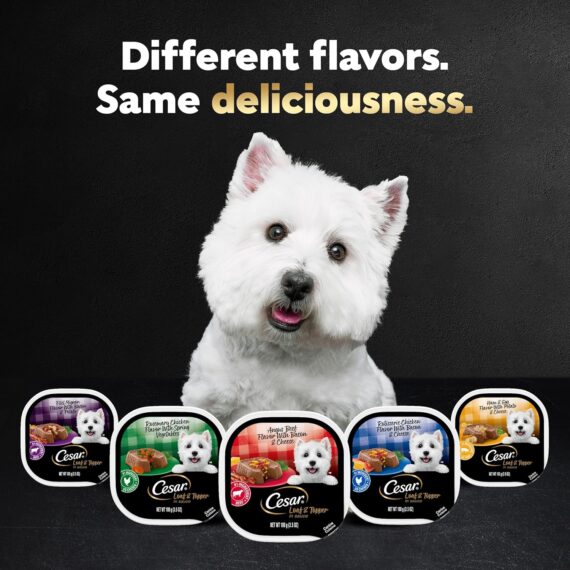 Cesar Wet Dog Food Loaf & Topper in Sauce Rotisserie Chicken Flavor with Bacon & Cheese, 3.5 oz. Easy Peel Trays (24 Count, Pack of 1) Canned Wet Pet Food Pet Supplies: Rufus AIRufus AI - Image 11